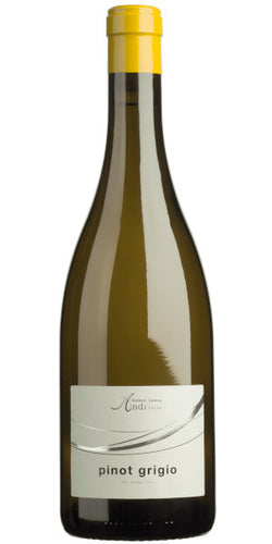 Pinot Grigio 2022 - Cantina Winery Andrian (75cl)